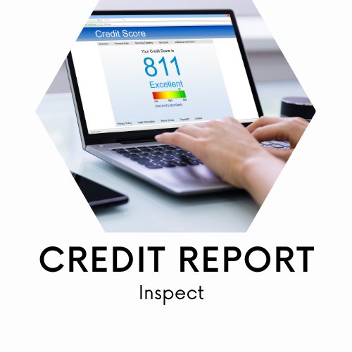 credit report inspect