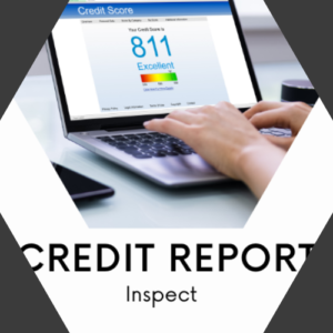 credit reporting inspect